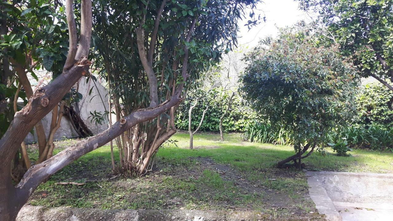 메시나 Giardino Labruto 아파트 외부 사진